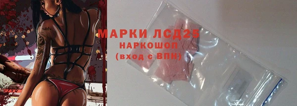 стаф Михайловск
