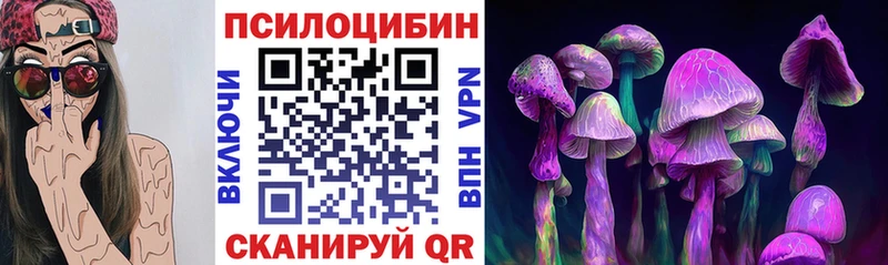 Галлюциногенные грибы Psilocybine cubensis  Кириши 