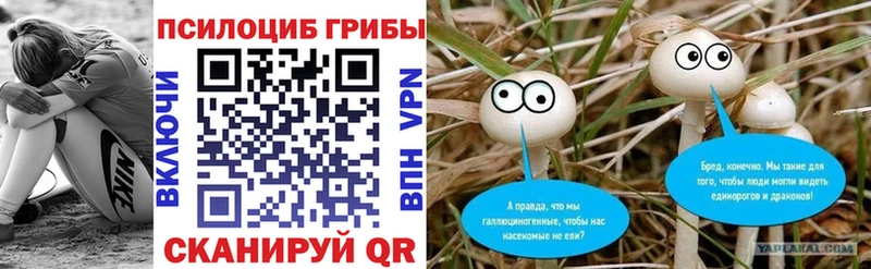 Галлюциногенные грибы Cubensis Кириши