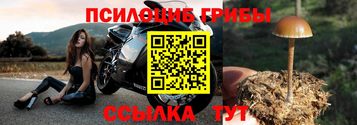 Галлюциногенные грибы Psilocybe  Галлюциногенные грибы мицелий  Кириши  Вход с VPN 